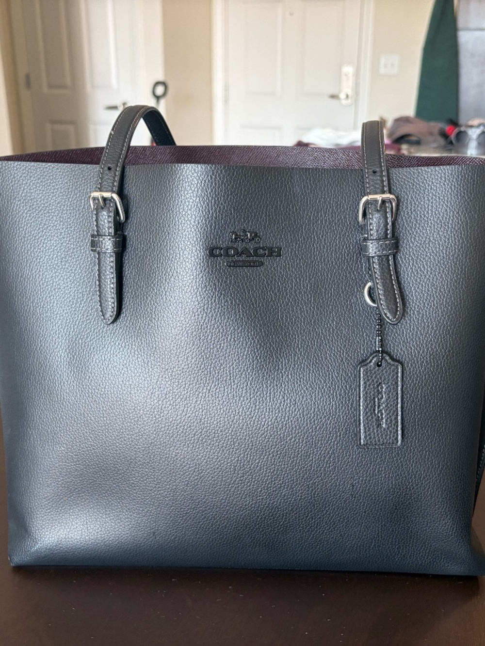 Coach Mollie Tote Bag